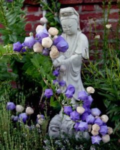 Stone garden statue surrounded by purple bellflowers